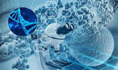 生物基材料及中間體研發(fā)商利夫生物完成近兩億元B輪融資