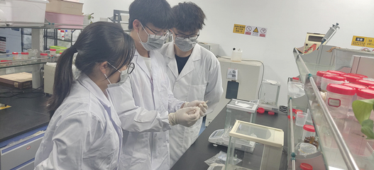 學習強國:浙農林大本科生團隊研究成果開啟生物基醫用材料增材制造新路徑