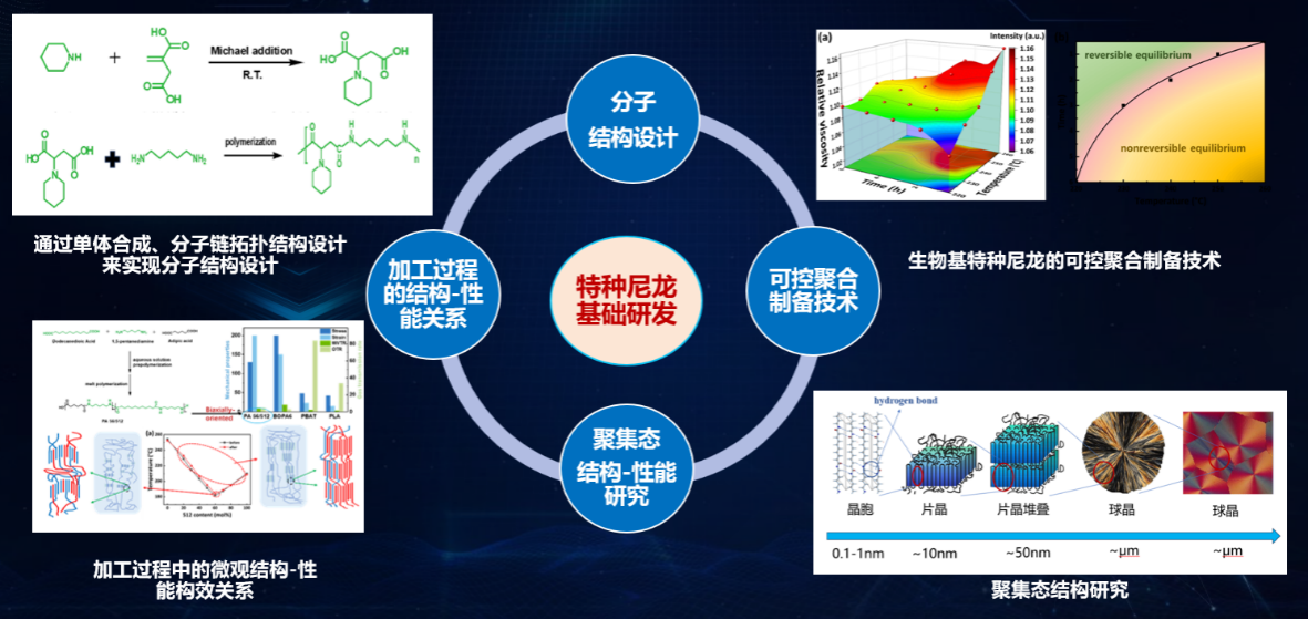 打破國際壟斷，書寫國產新材料新篇章 榕江實驗室生物基尼龍創新團隊榮獲省賽團體組三等獎